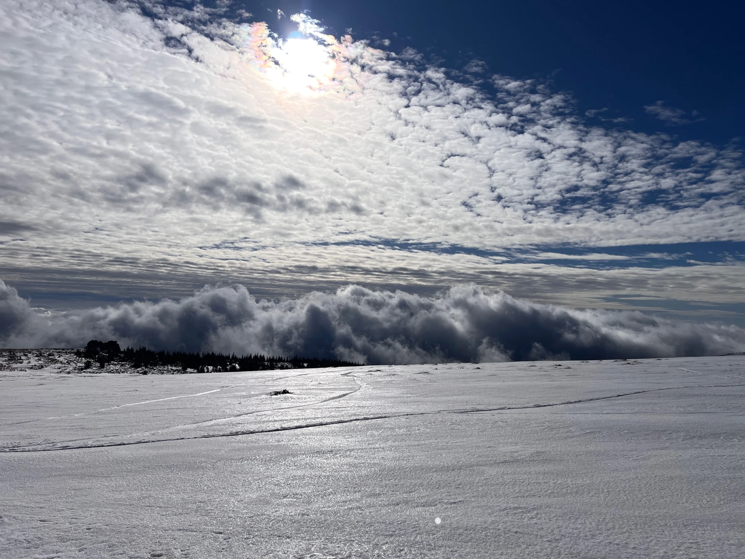๐๏ธ Muntele Mare in winter โ When snow is rarer than phone signal on the plateau โ photo 4