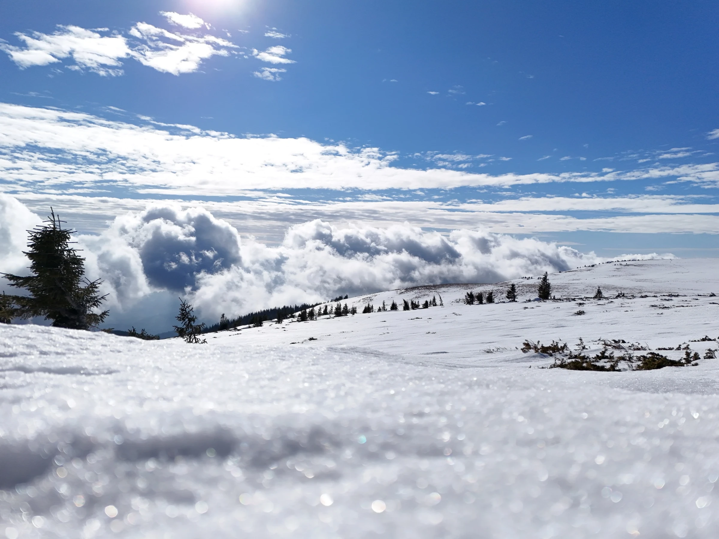 ๐๏ธ Muntele Mare in winter โ When snow is rarer than phone signal on the plateau โ photo 1