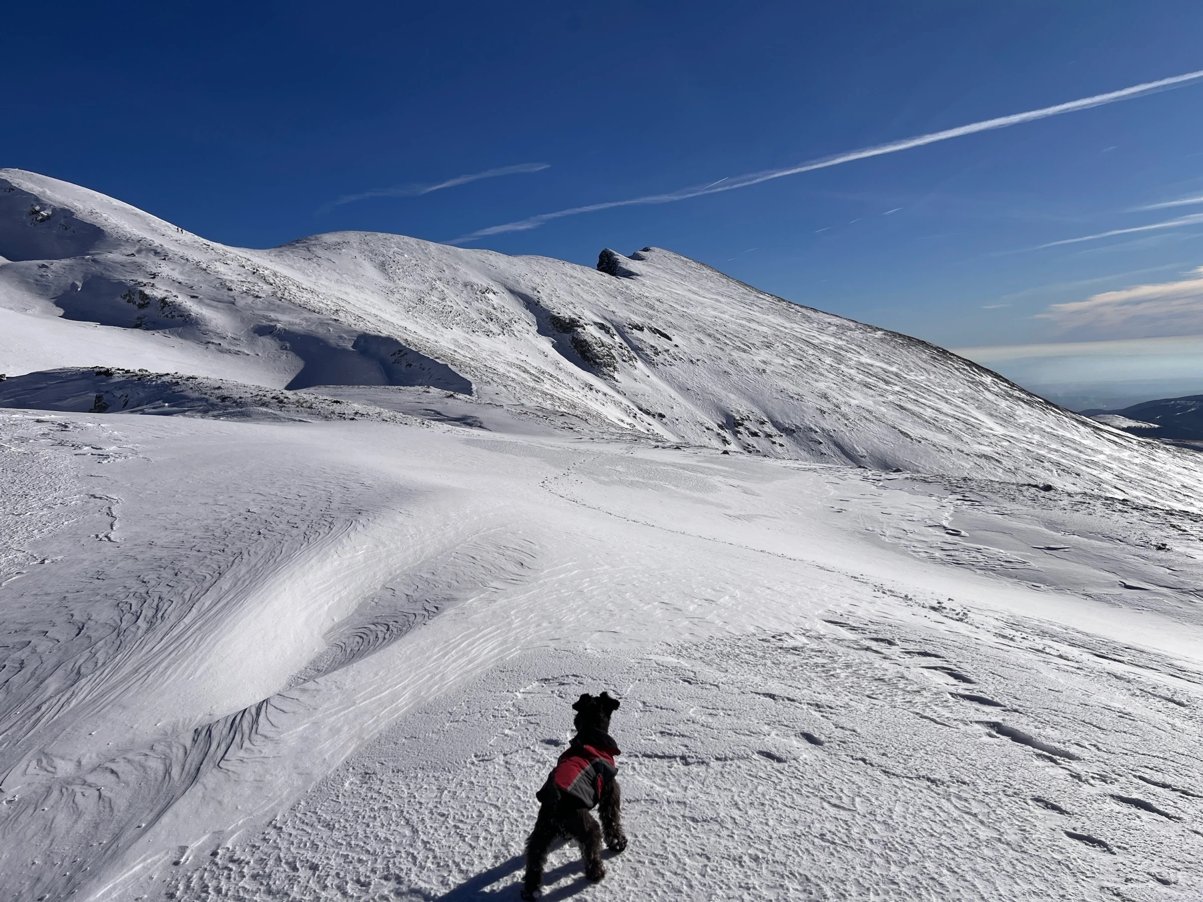 🏔️ Vârful Parângul Mare in winter – Snow, crampons and a bum-slide down the ski slopes – photo 1