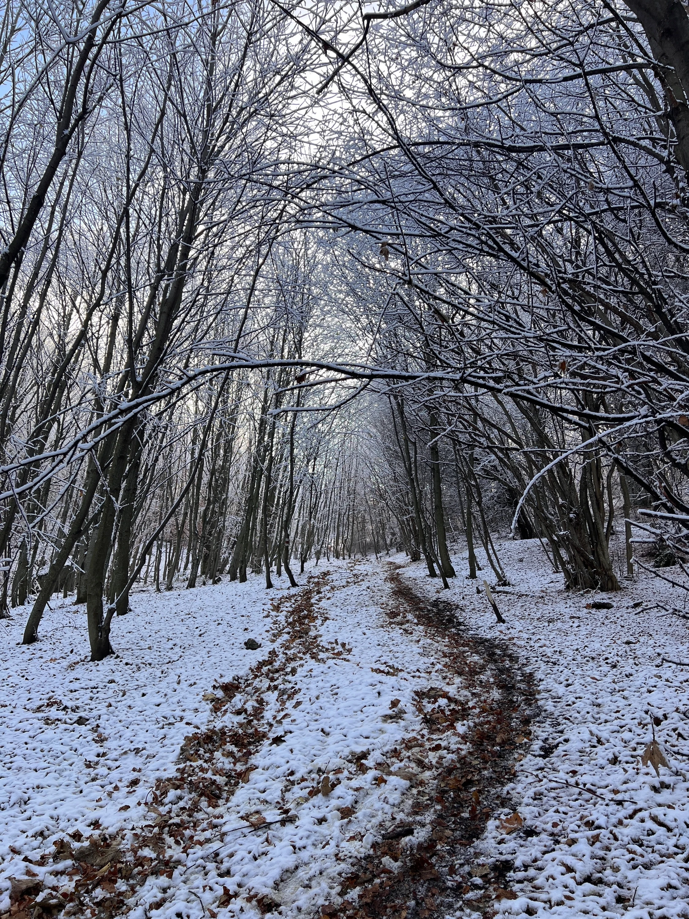 🏔️ Piatra Secuiului in winter – Mud, personal records and an epic descent through the snow – photo 3