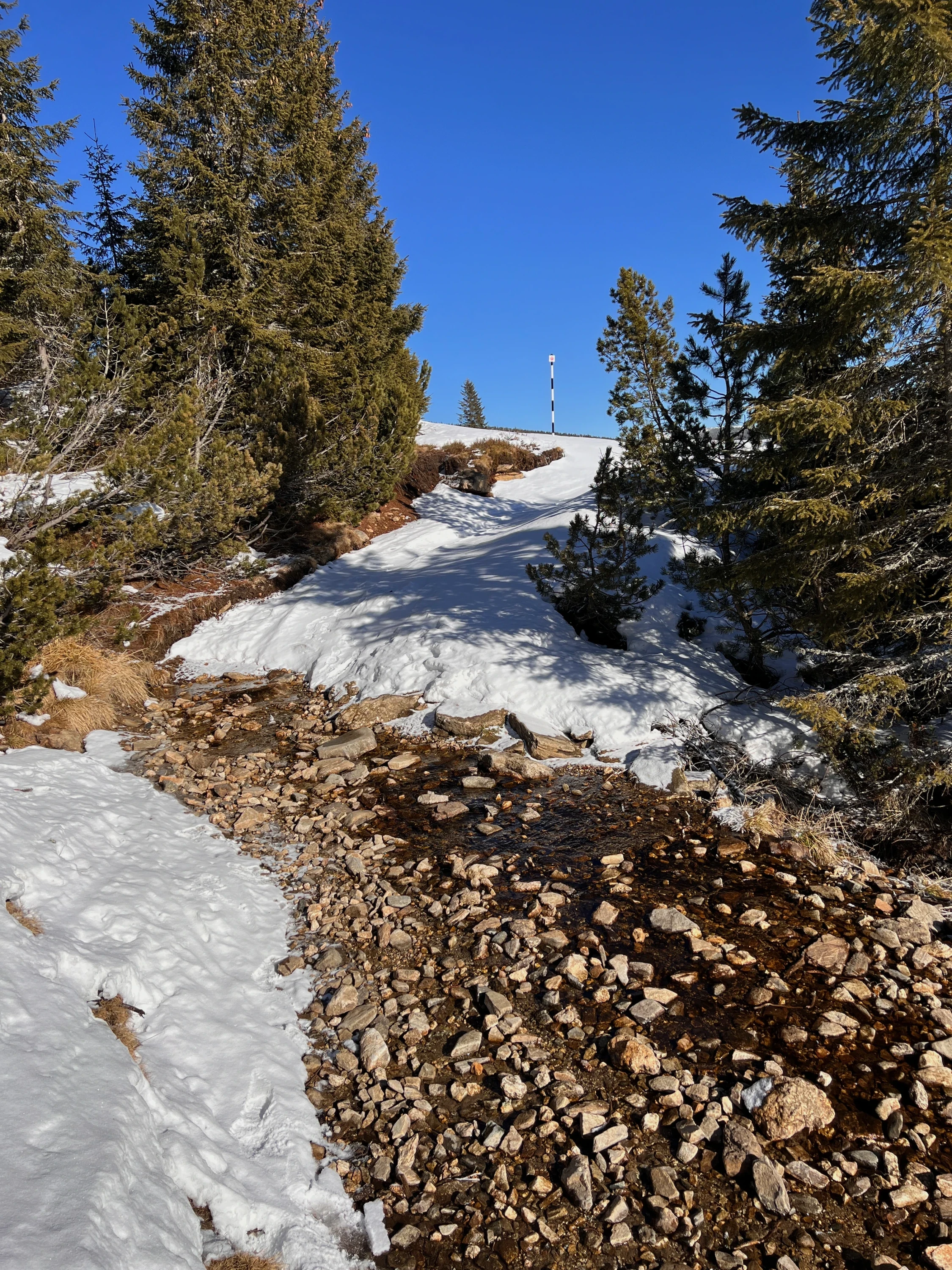 🏔️ Vârful Cindrel in winter – Waist-deep snow and a trail that tests your patience – photo 3