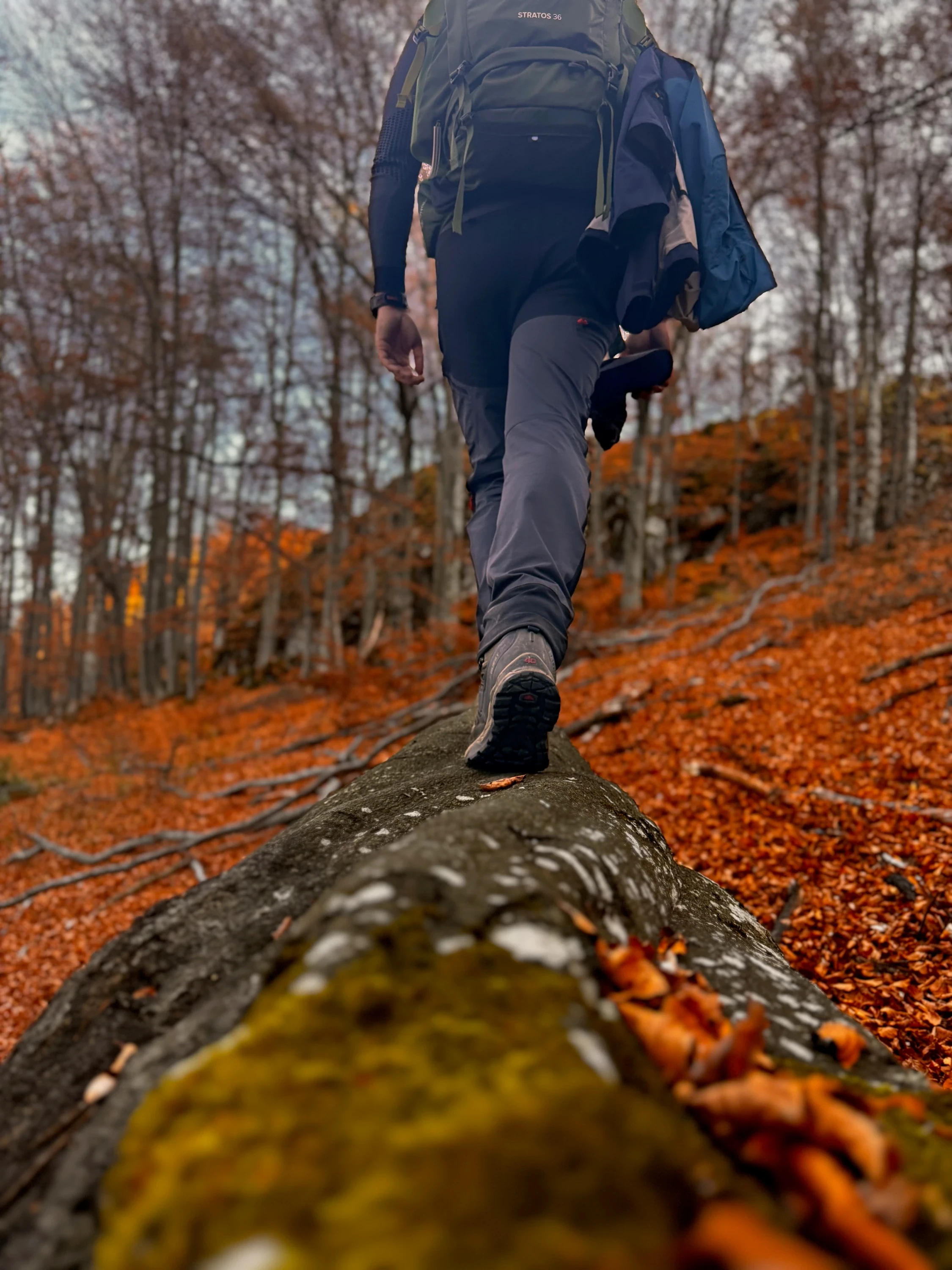 🏔️ Vârful Dâmbău – An easy trail, gorgeous views and a nap on the summit – photo 1