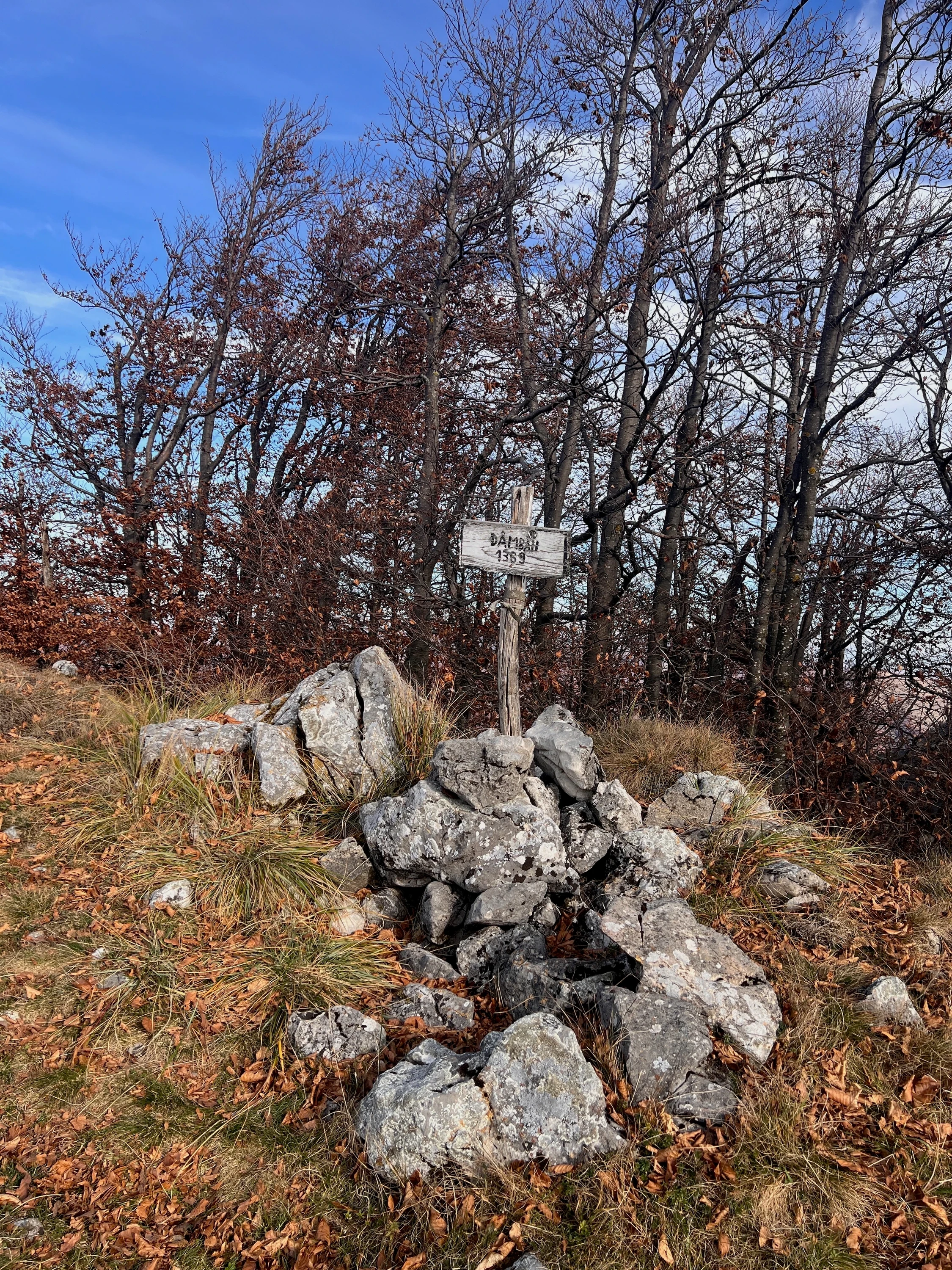 🏔️ Vârful Dâmbău – An easy trail, gorgeous views and a nap on the summit – photo 2
